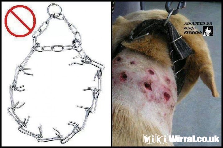 Attached picture barbaric collars (Copy).jpg